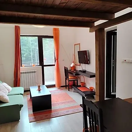 Rila 6ato & Restaurant 3* ساباريفا بانيا